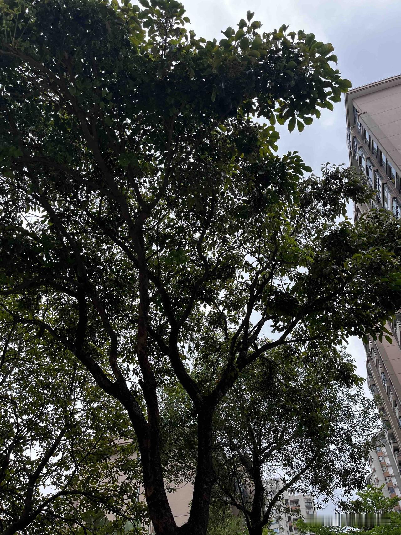 《资治通鉴》：资治通鉴：成事的秘诀就是，

从你不再害怕任何人，任何事开始的
