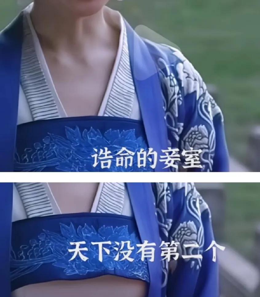 刷到网友讨论关于知否 中小妾能否得诰命的争议，最近吵得挺热闹——有网友说剧里设定