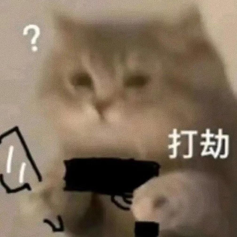 打劫：我要吃软饭！趣味表情包 #猫咪表情包 1