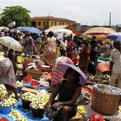 《中方宣布对非洲53国100%免关税！唯独这国被踢出局，这就是踩红线的代价》阅读
