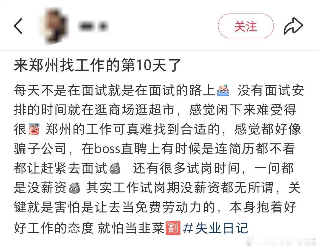 郑州的工作现在也这么难找吗？ ​​​