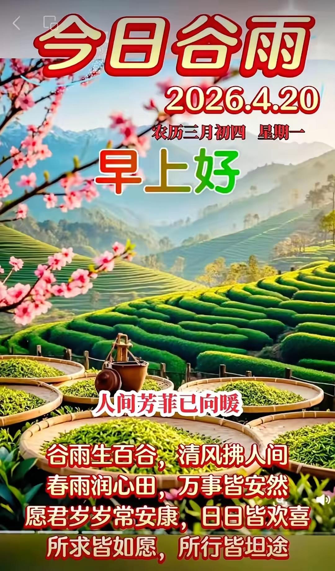 三月四日“谷雨”。愿我们：不求天天都风光，只求日日都健康！[玫瑰][福]早上好[
