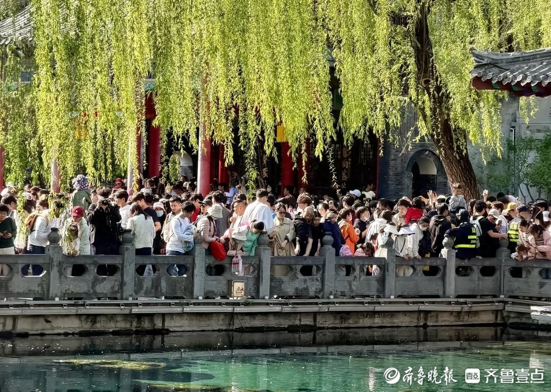 花海人海、昼夜两旺，清明假期济南“赏花经济”激活全链条消费