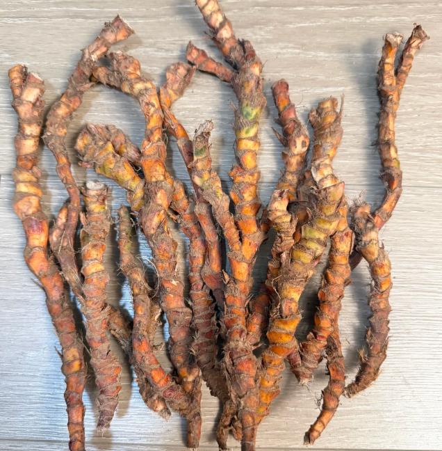 脑鸣救星！石菖蒲搭一物，3个黄金搭配，升清开窍，通脑止鸣
一般脑鸣的患者，我发现