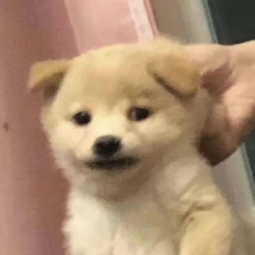 和川普一样表演型人格 