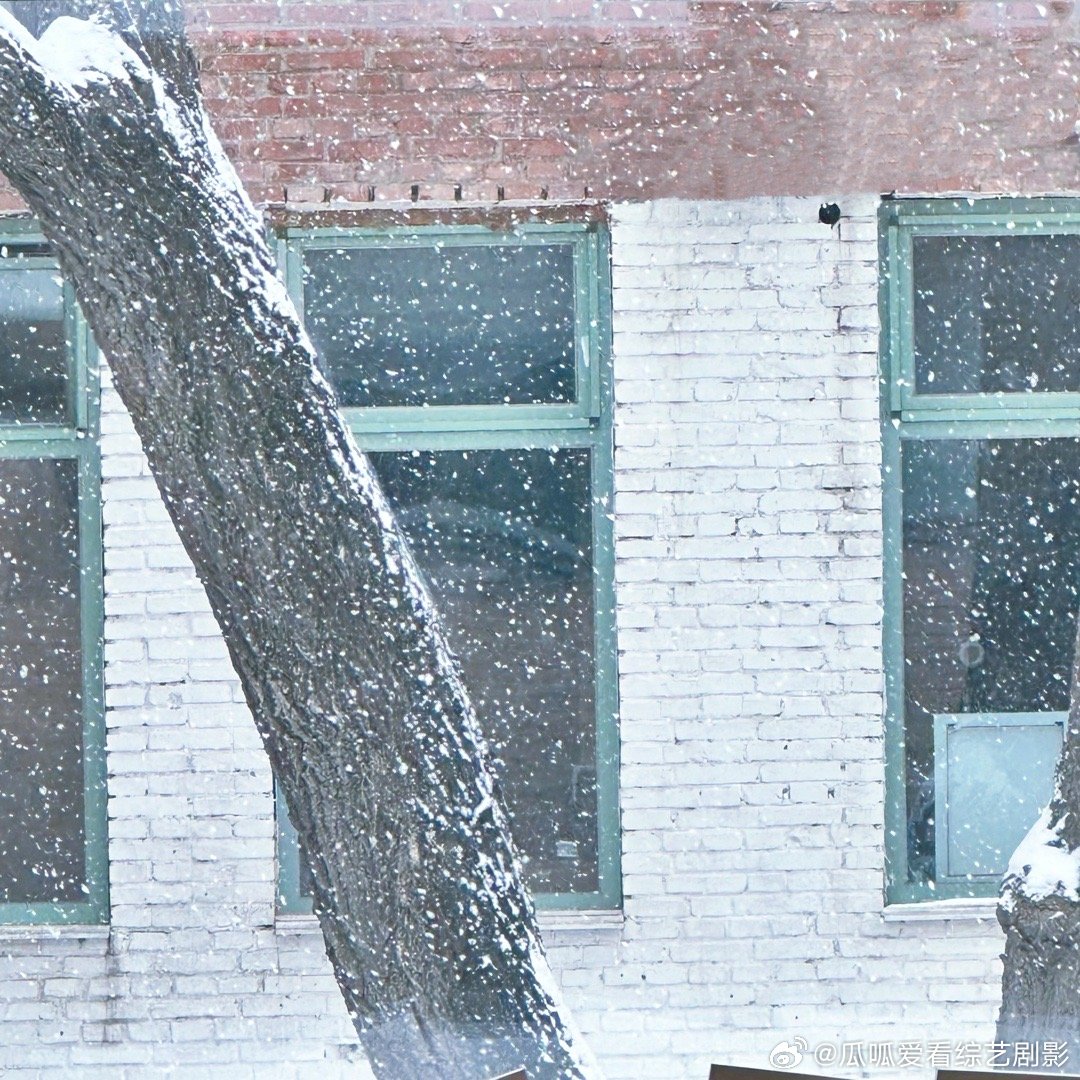 #高伟光也去夹小雪鸭了# 咱就是说高伟光也太会了吧，不会是一个东北人，到了冬天搞