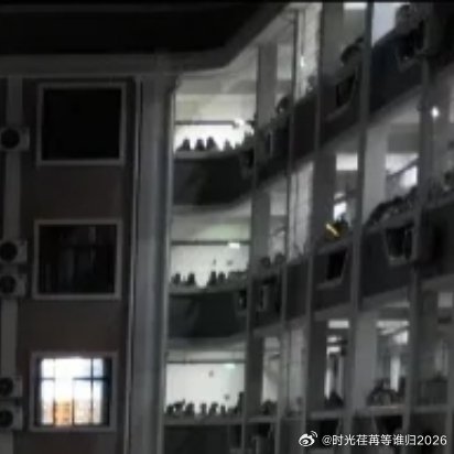 每日一善  每日一善  阳光信用 在心里种花，人生才不会荒芜，生活不会亏待任何一