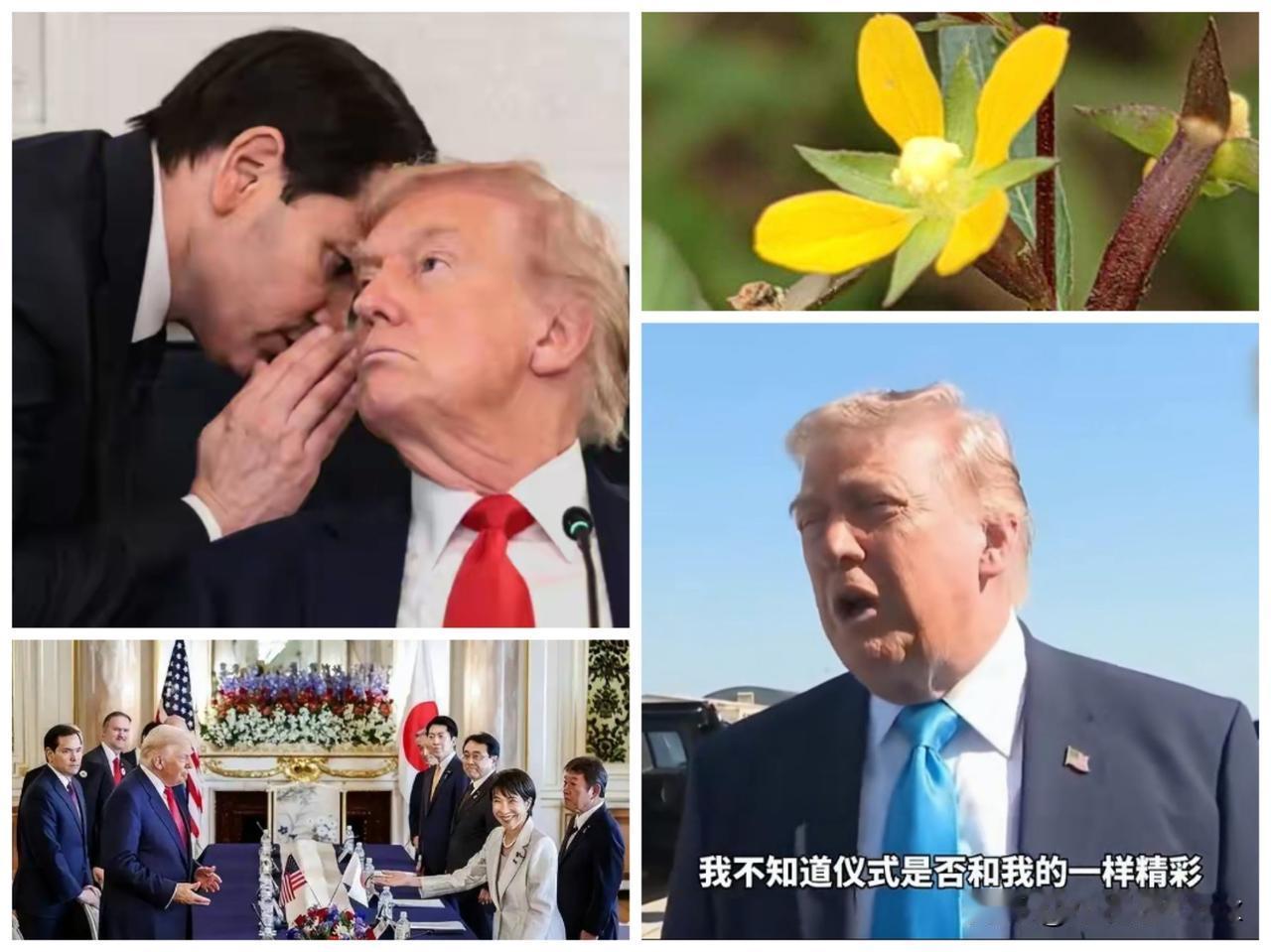 “特朗普”访华结束还不够一个月，就又宣布“年底”还要再访“中国”，看来白宫的大国