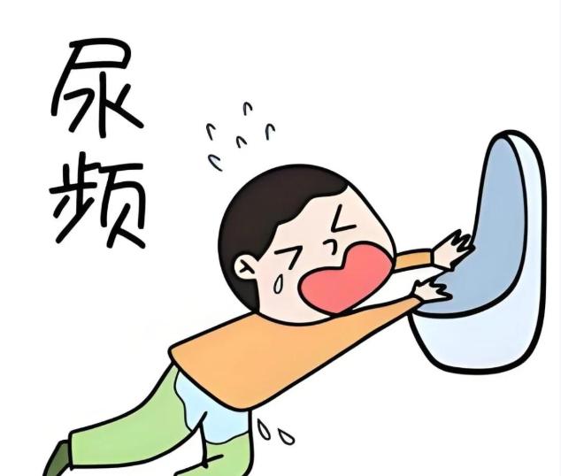 哪有什么尿频尿急，不过是肾虚了！
尿频尿急是西医的常见说法，但在中医上则叫淋证，