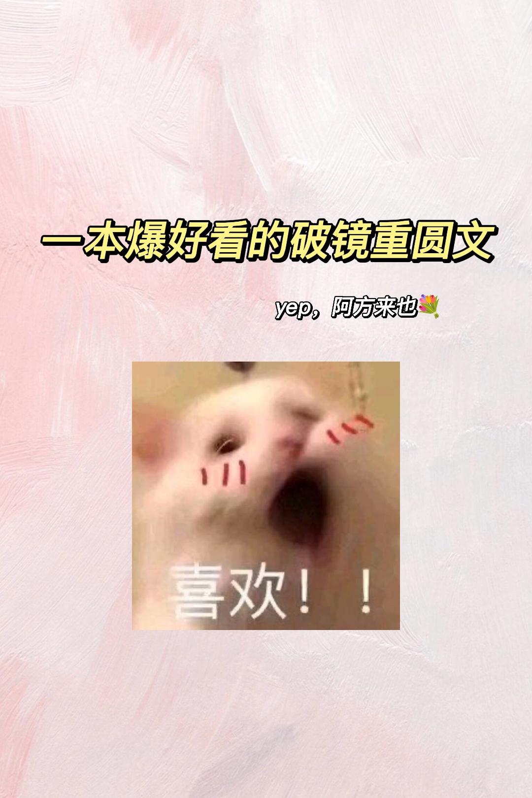 破镜重圆文。我不允许有人没看过这本！！