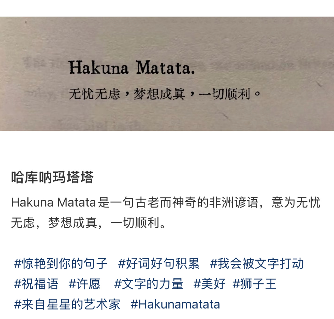 Hakuna Matata最近天天听老时说这个 原来是非洲谚语 我记得防弹的有首