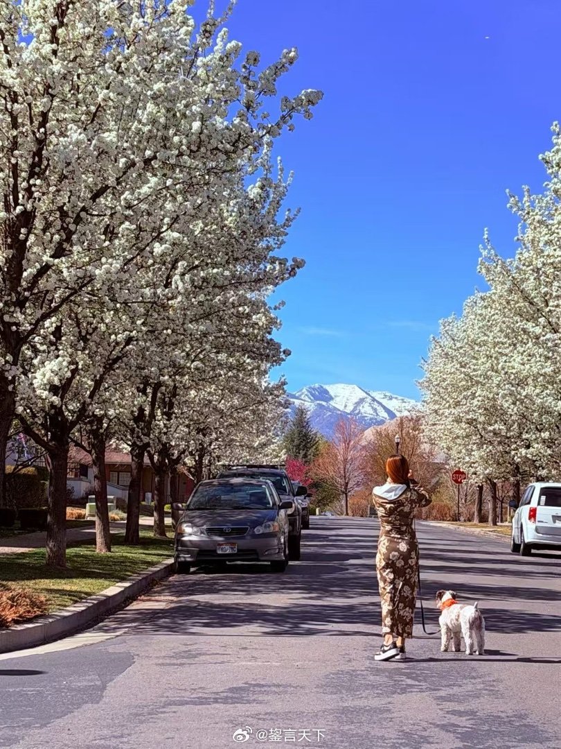 乖妈与吉哥  乖妈好友作品 