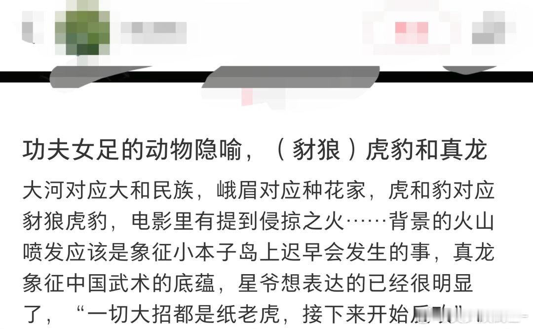功夫女足隐喻赛场之上发生的每一次冲突、每一轮对抗都能找到现实对照，等到理清导演埋
