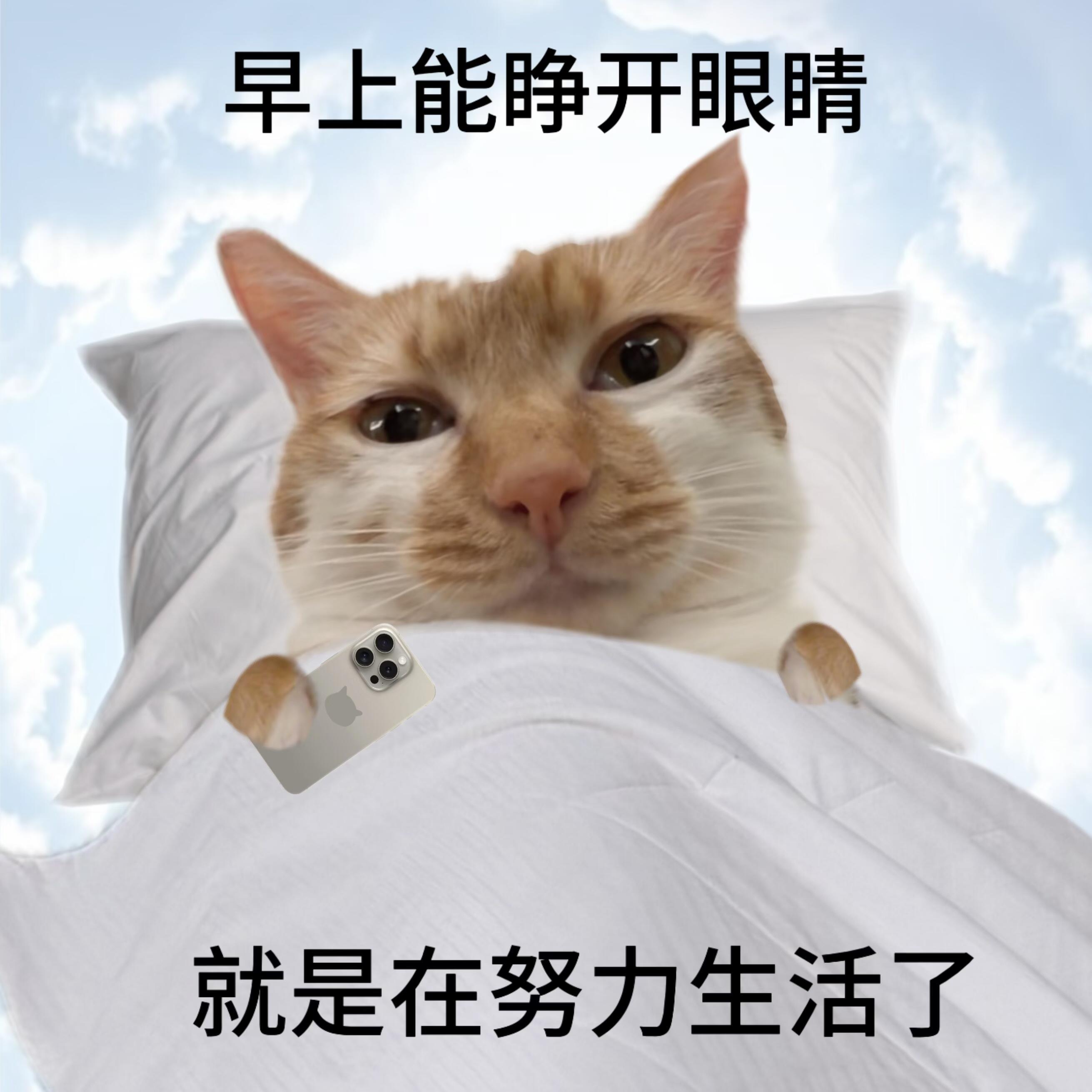 当代年轻人低电量表情包 