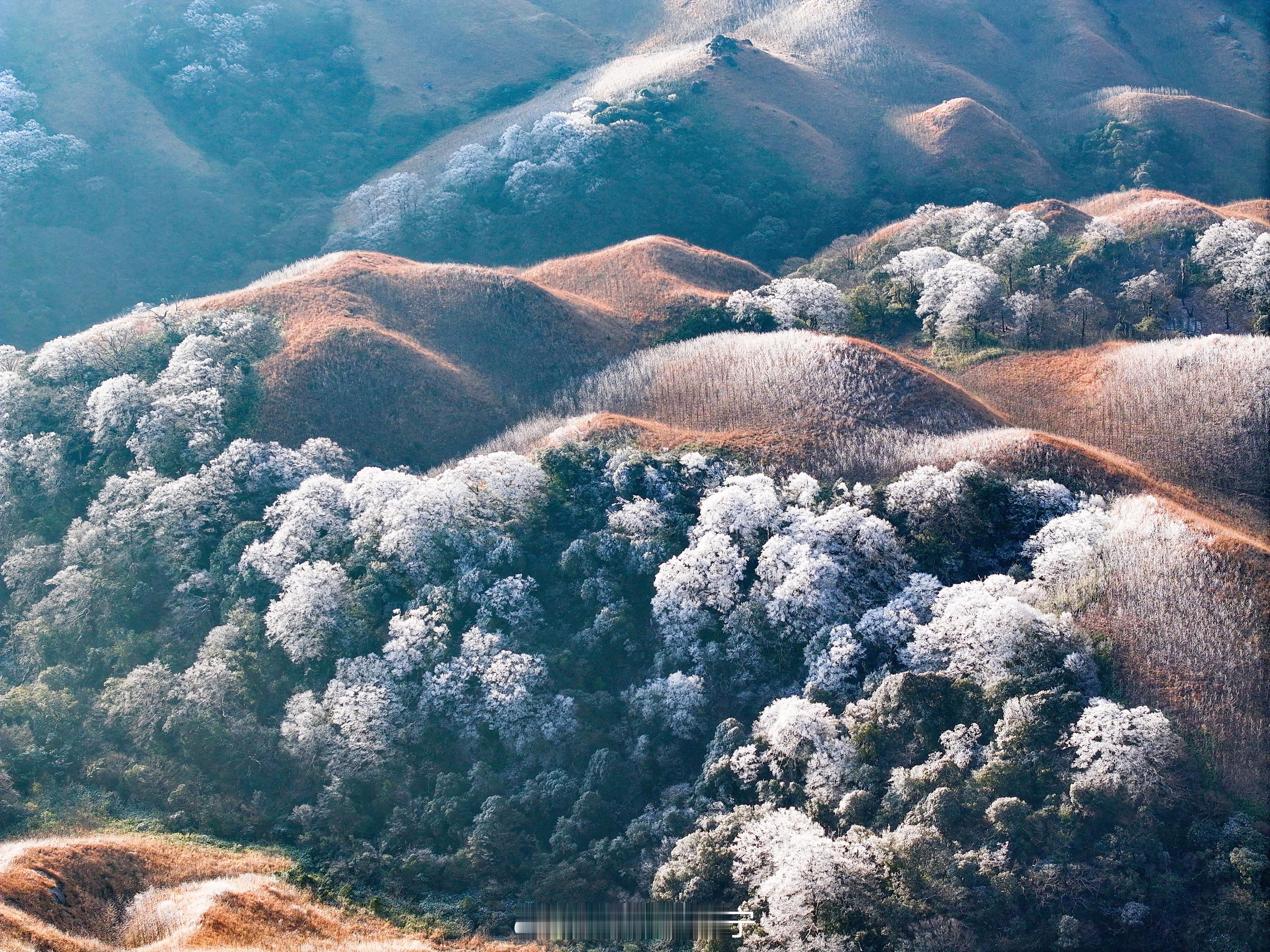 1600 米高山秘境藏着南方人的雪季浪漫！清晨雾凇挂满枝桠，冰蓝湖面与银装森林相