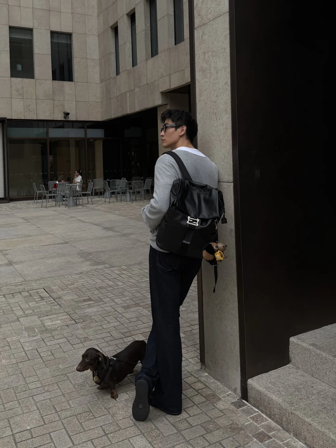 带上小狗出门走走