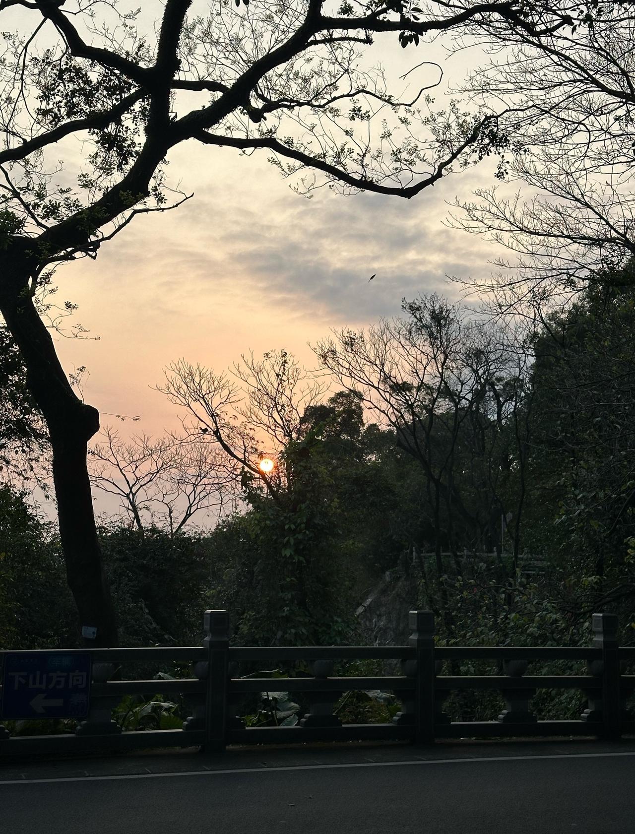 📍广州 广州山庄旅舍
风景真的很无敌
酒店坐落在半山腰
可以欣赏日落、日出、俯