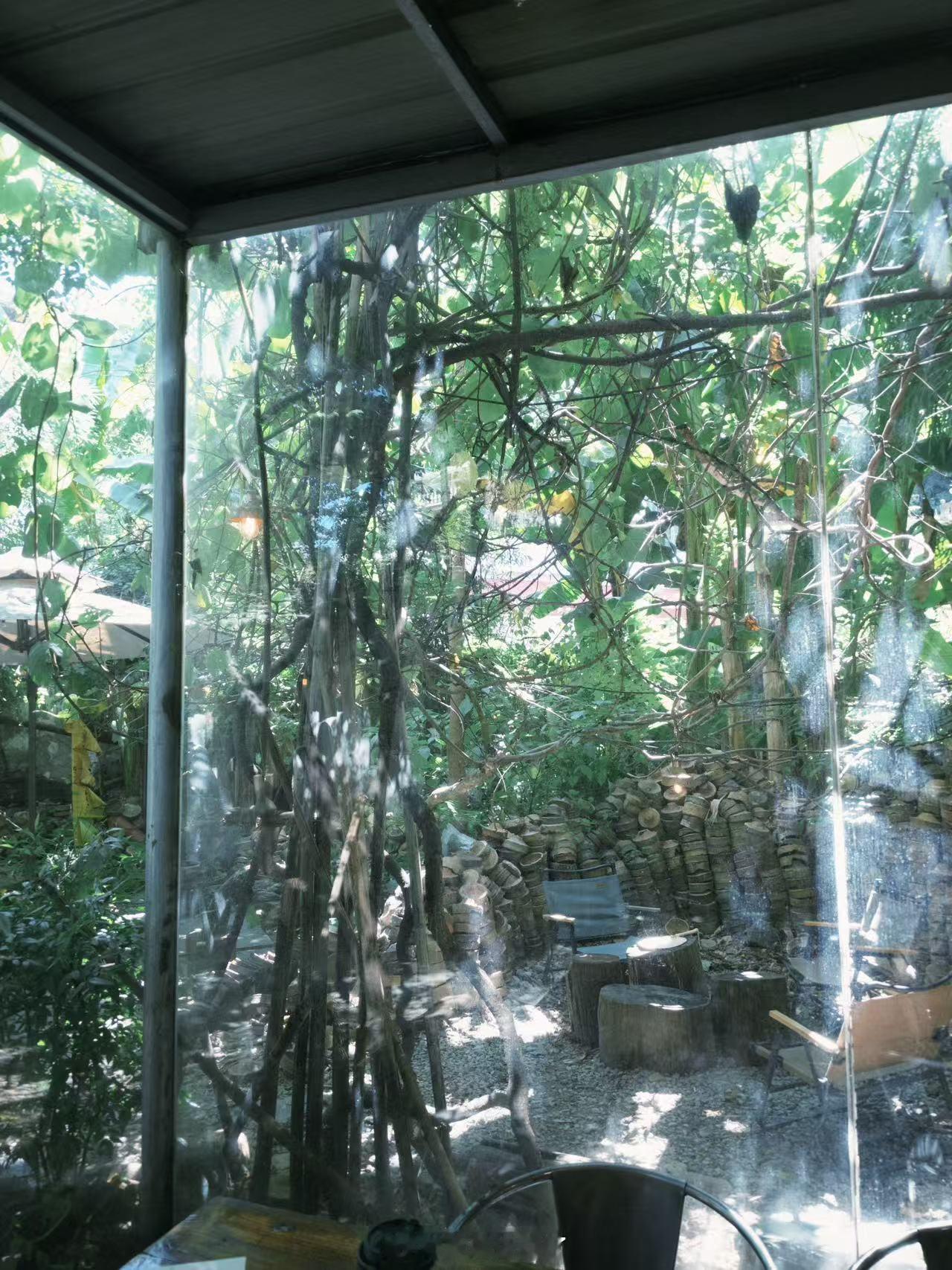 0000生命中，好多的事是这样，生活中，好多的情是这样，没有理由，也无需理由，爱