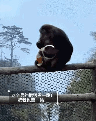 一时恶作剧毁掉自己前途！峨眉山推猴男子正脸曝光，官方出手后果严重
 
五一假期，