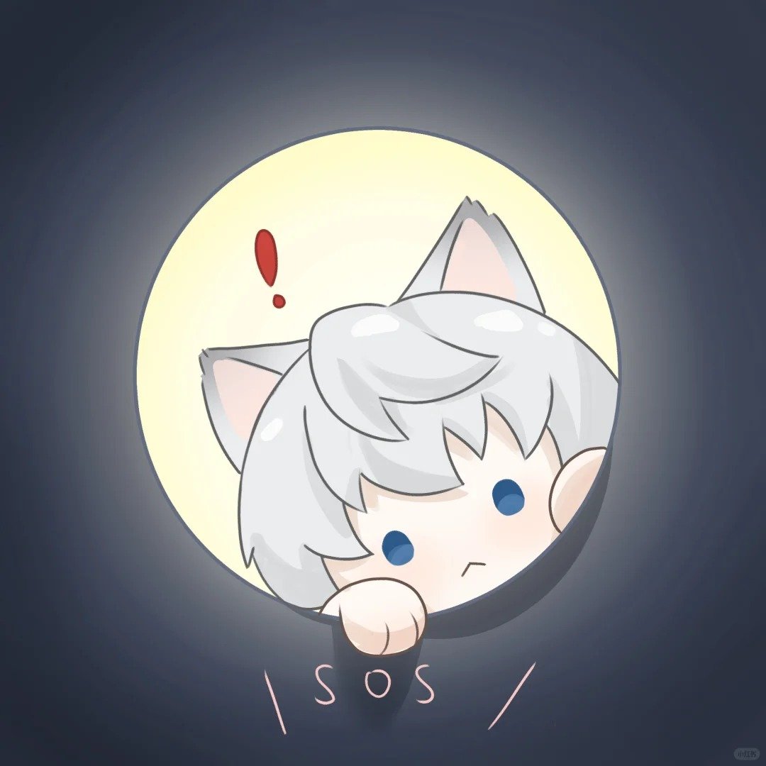 人，猫来捞你沈巨兔来啦 