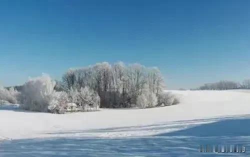 雪域银装素裹，一片洁白世界。岁月如河，走过才知深浅；生命如诗，吟过方知韵味