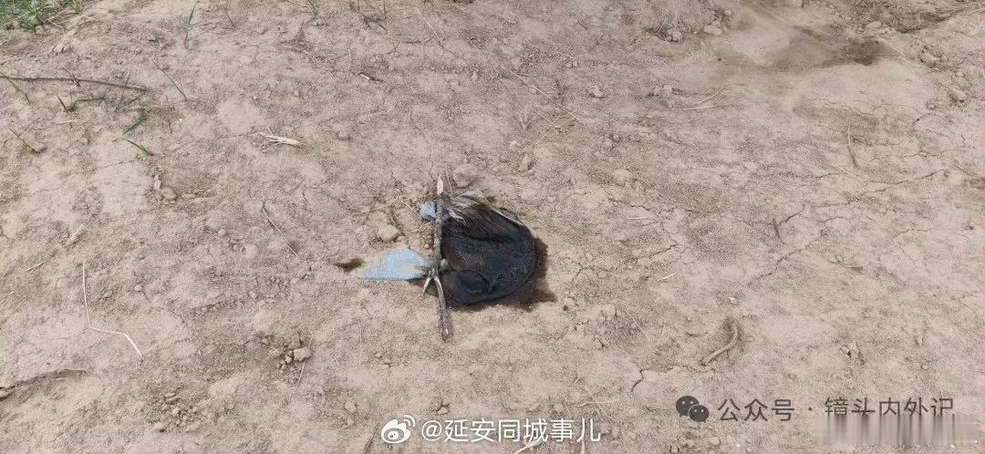 封井近俩年，污油池未清、地面未清理？长庆油田采油九厂两井场被指遗留污染 近日，有