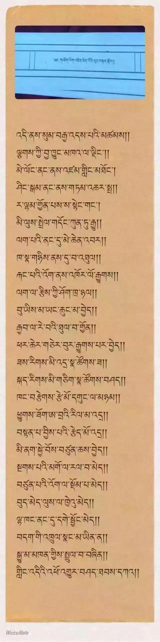 ལུང་བསྟན་རེད་འདུག