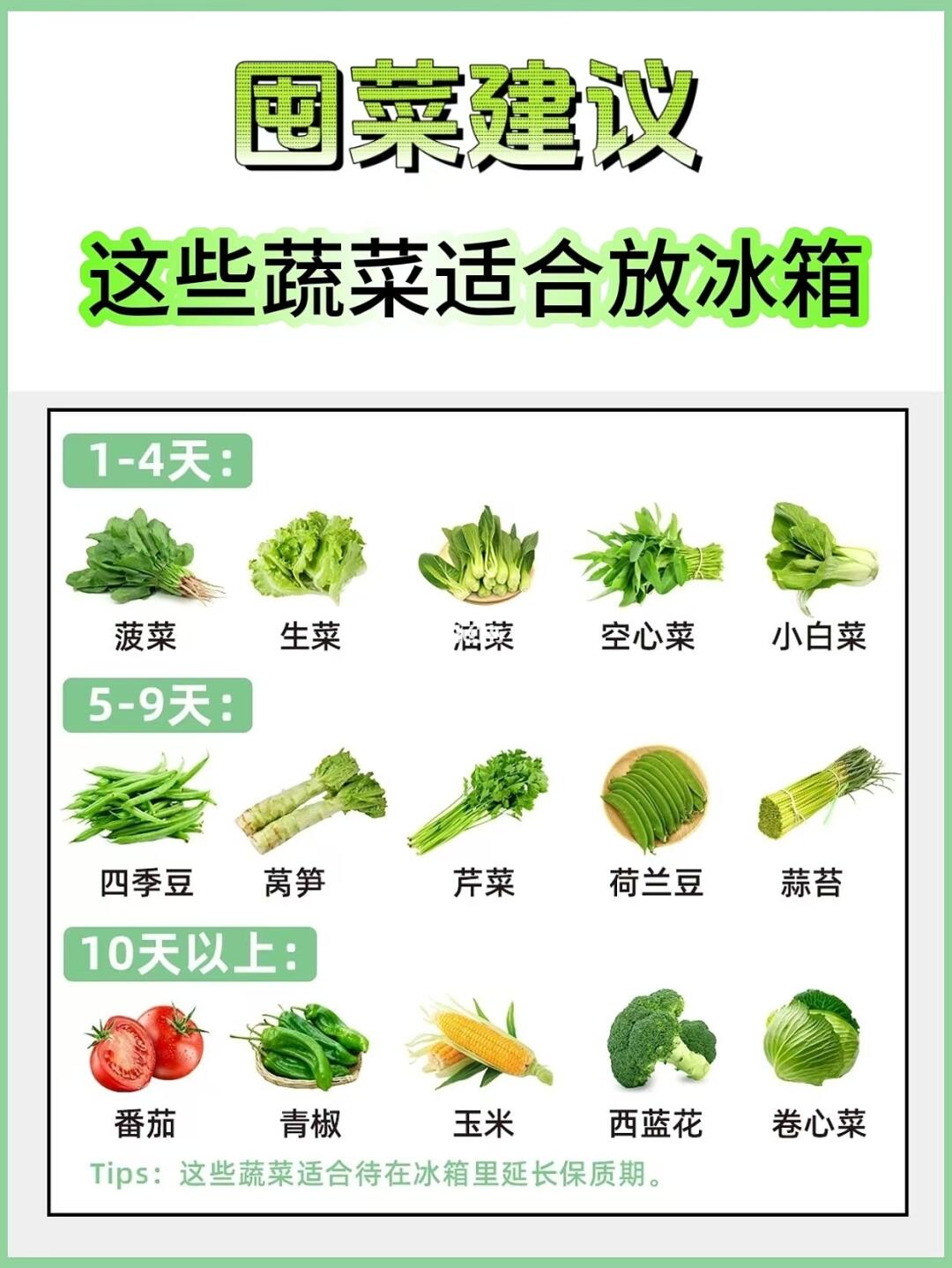 过年囤菜小妙招建议