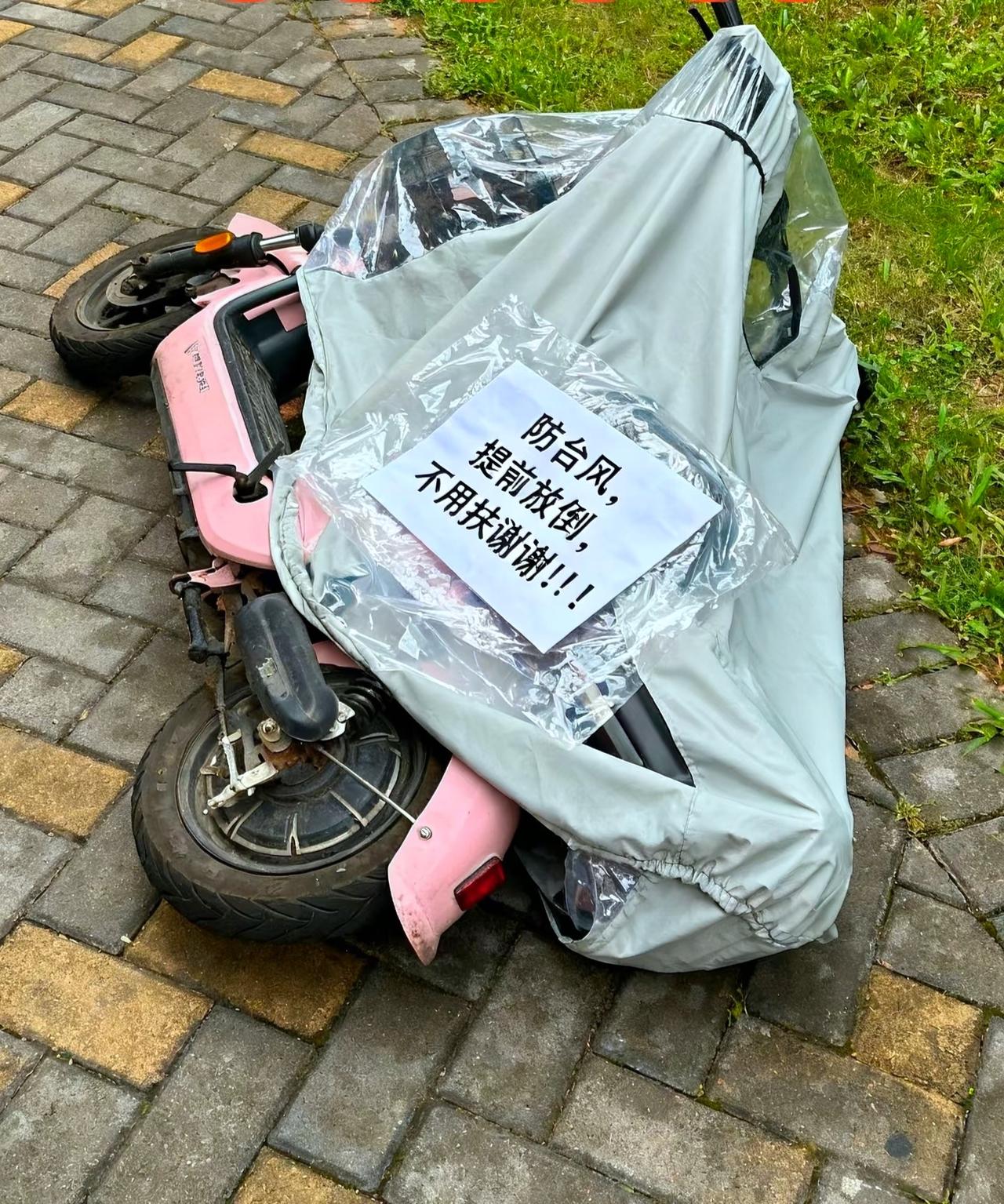 这种情况只有广东才会有吧

看来
台风还真是厉害