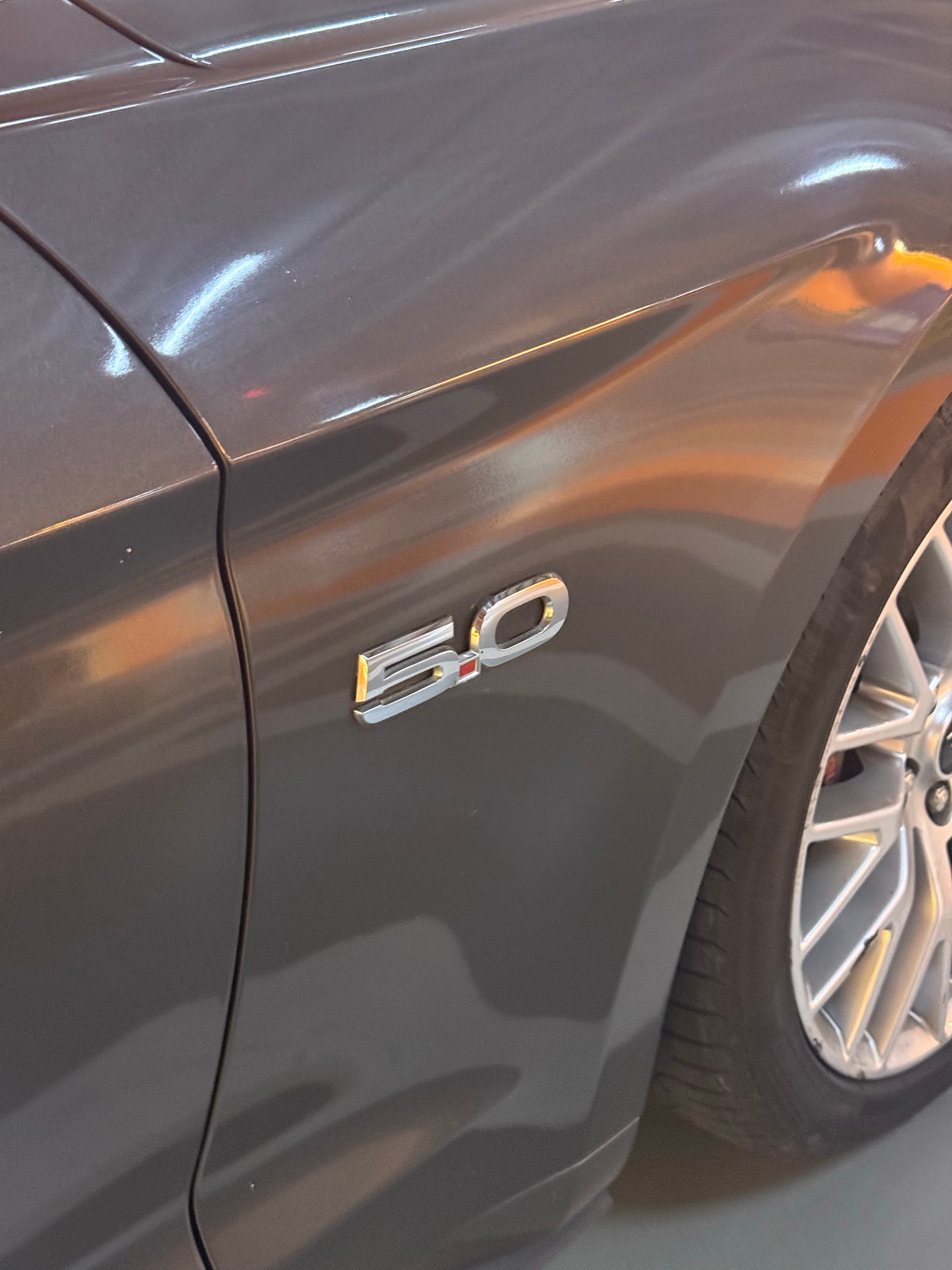 猜猜小洪今天开的啥？西西出街