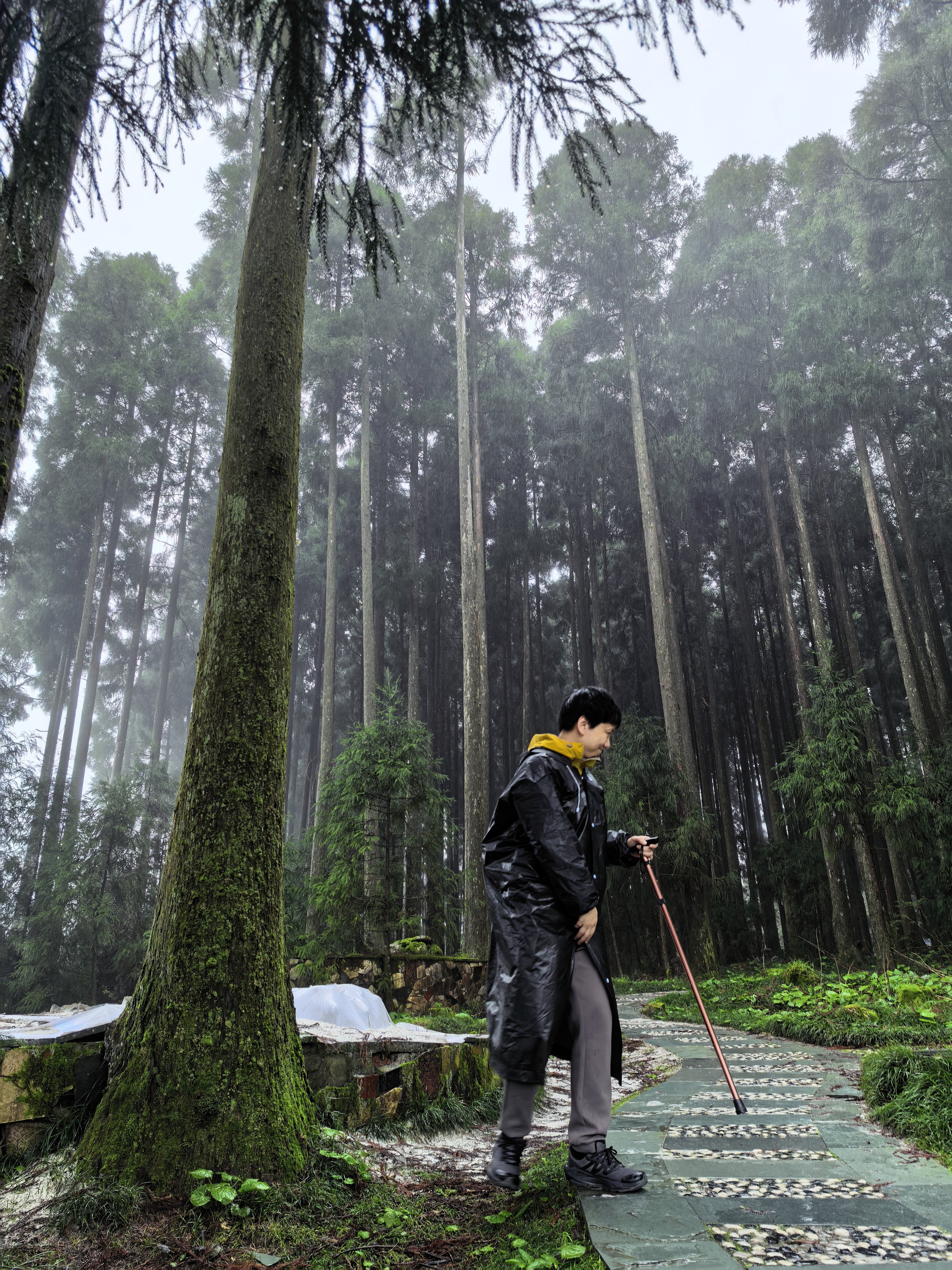 小小明月山  已被我拿下 宜春·明月山国家级风景名胜区