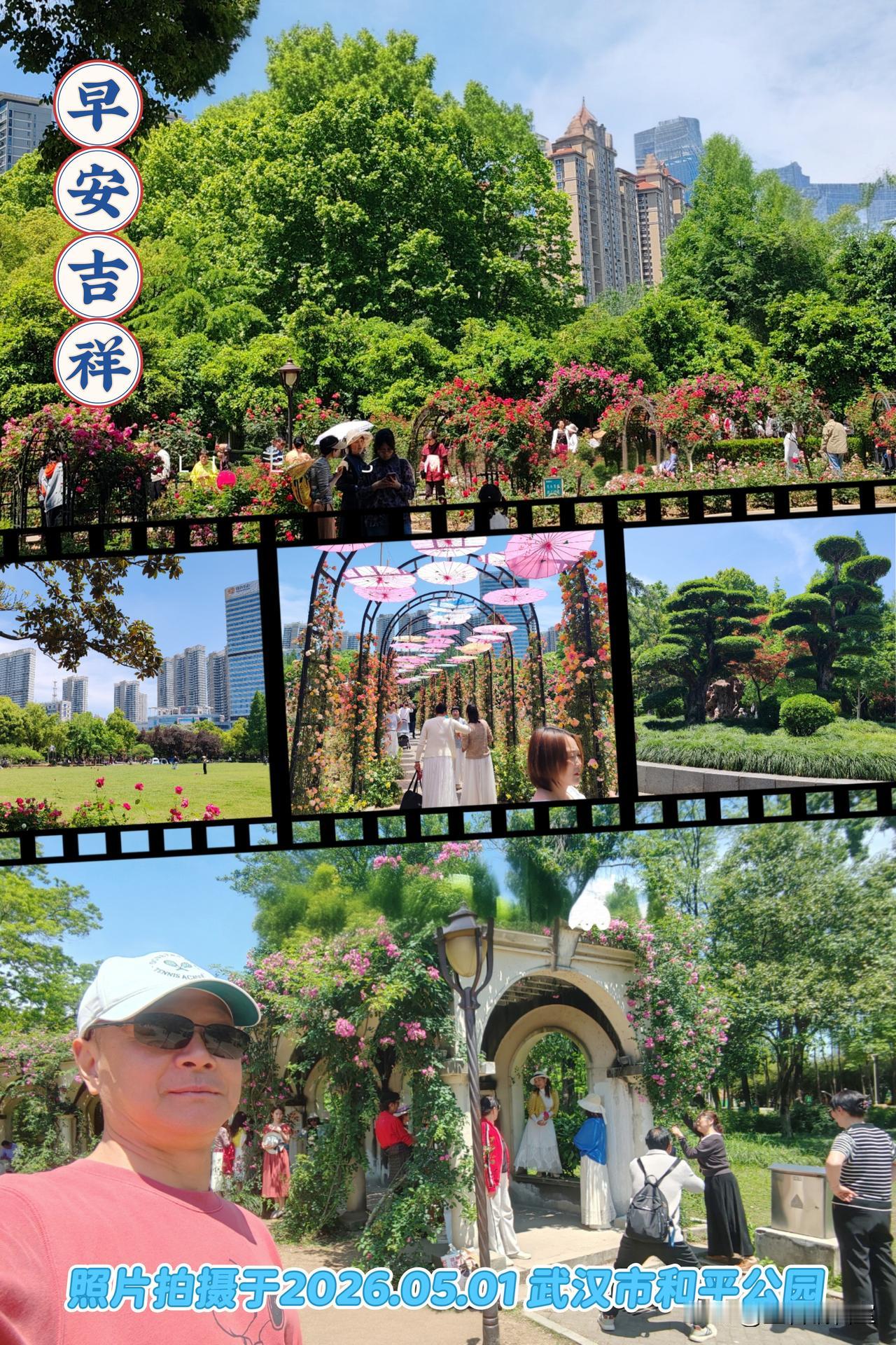 大家早上好（照片拍摄于武汉市和平公园，原创作品）！🍎🇨🇳🍎
武汉和平公园