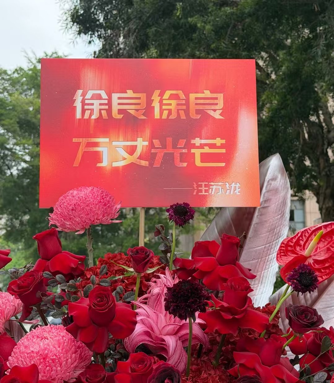 汪苏泷给徐良演唱会送花篮 汪苏泷给徐良演唱会送了20个红色应援花篮，10多年的友