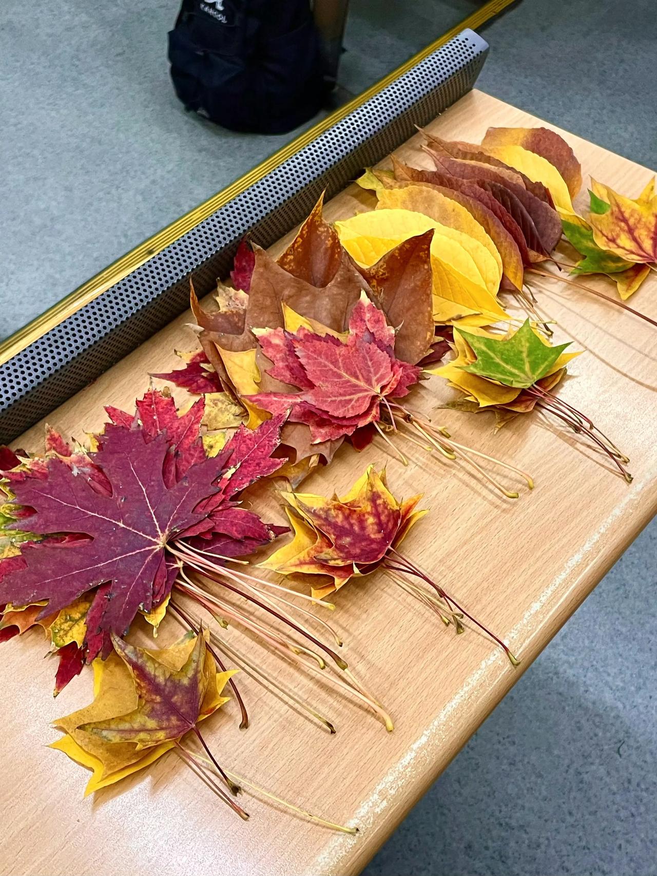 秋天🍁