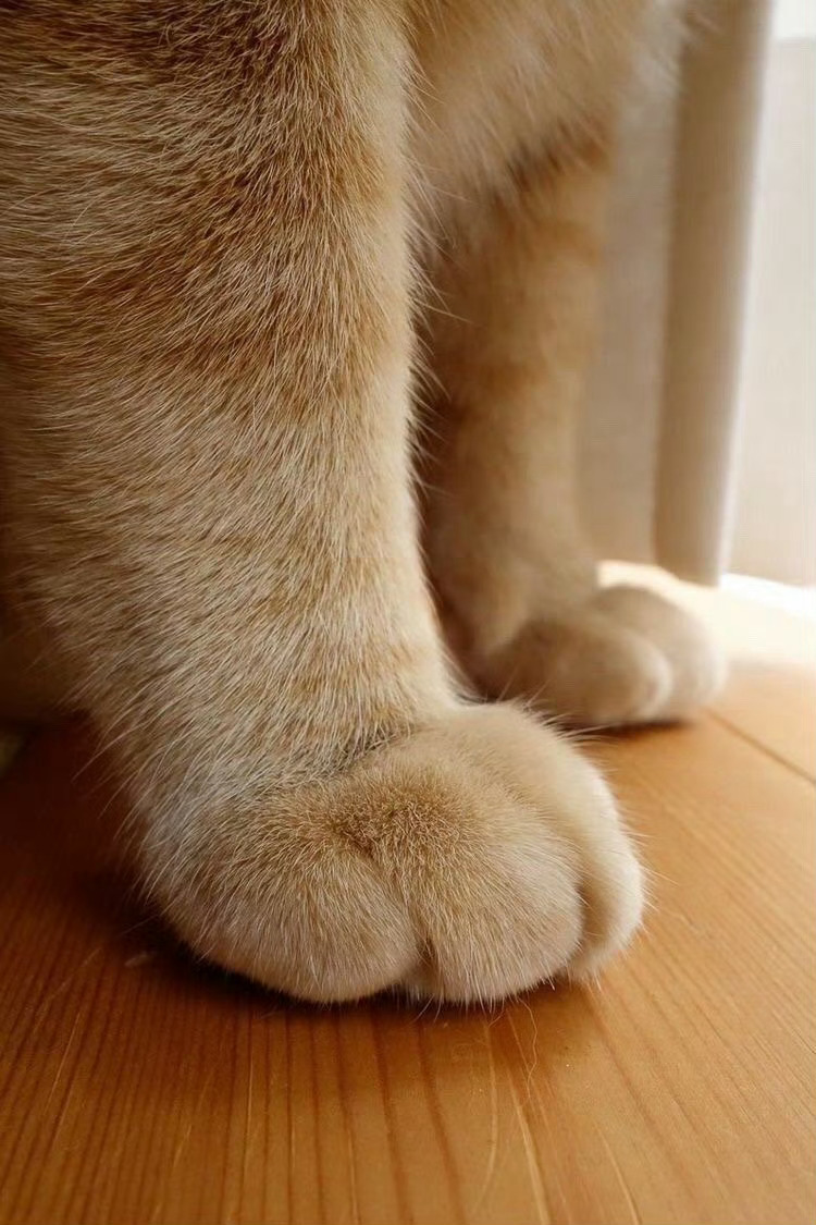 踩小人，踩掉2026年一切小人！ 