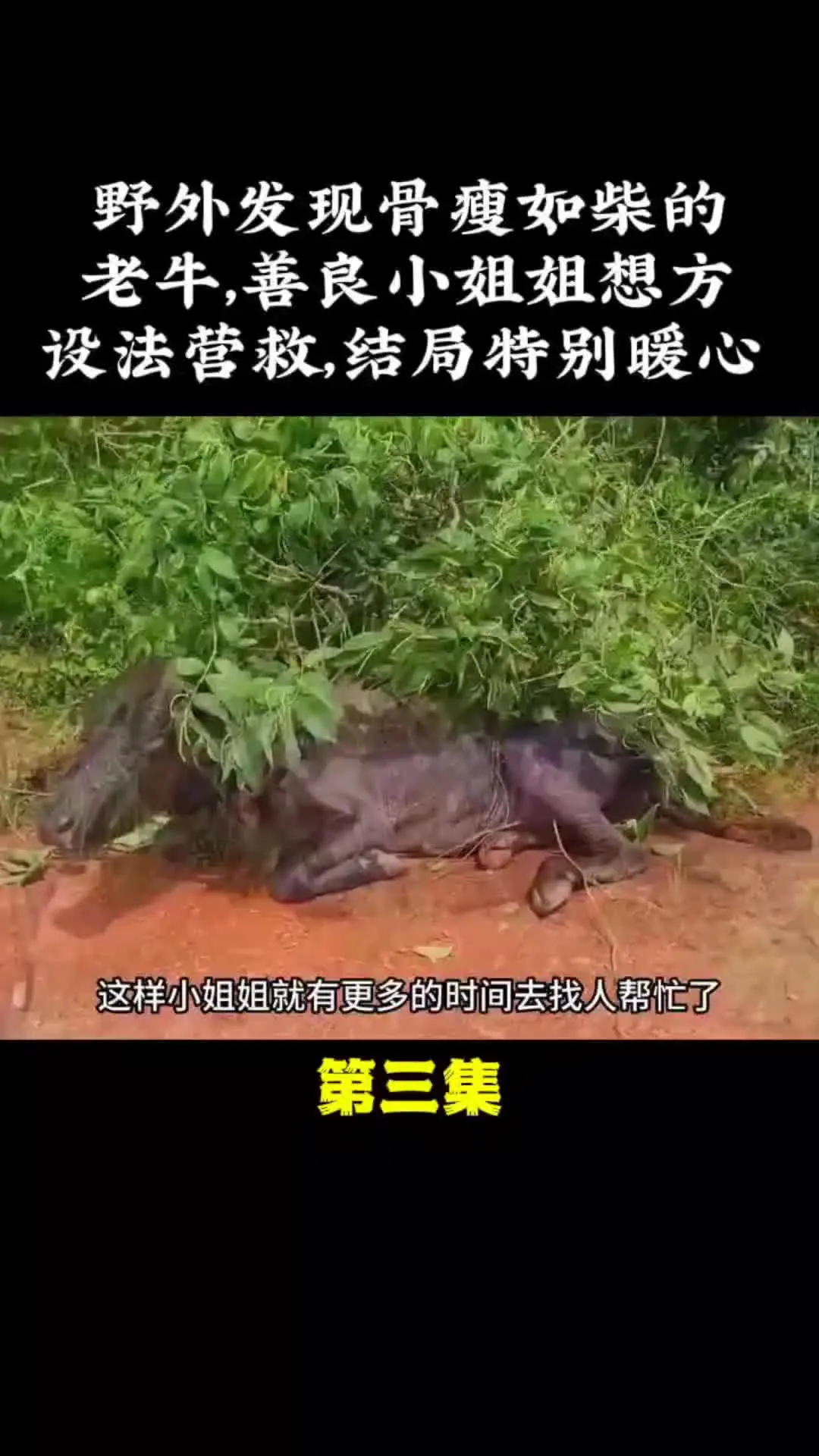 我的观影报告 内容启发搜索