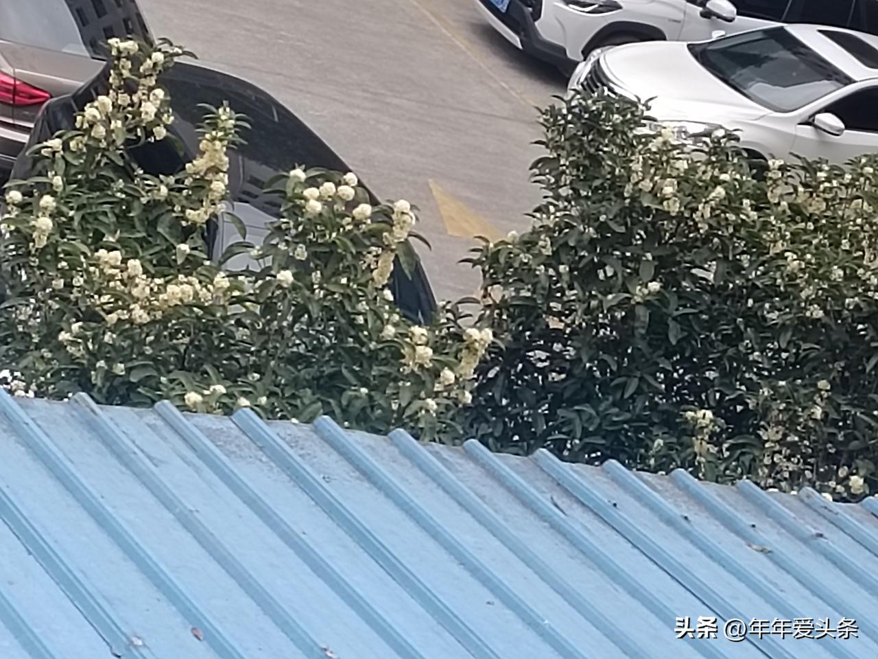 @豆包 帮我点评