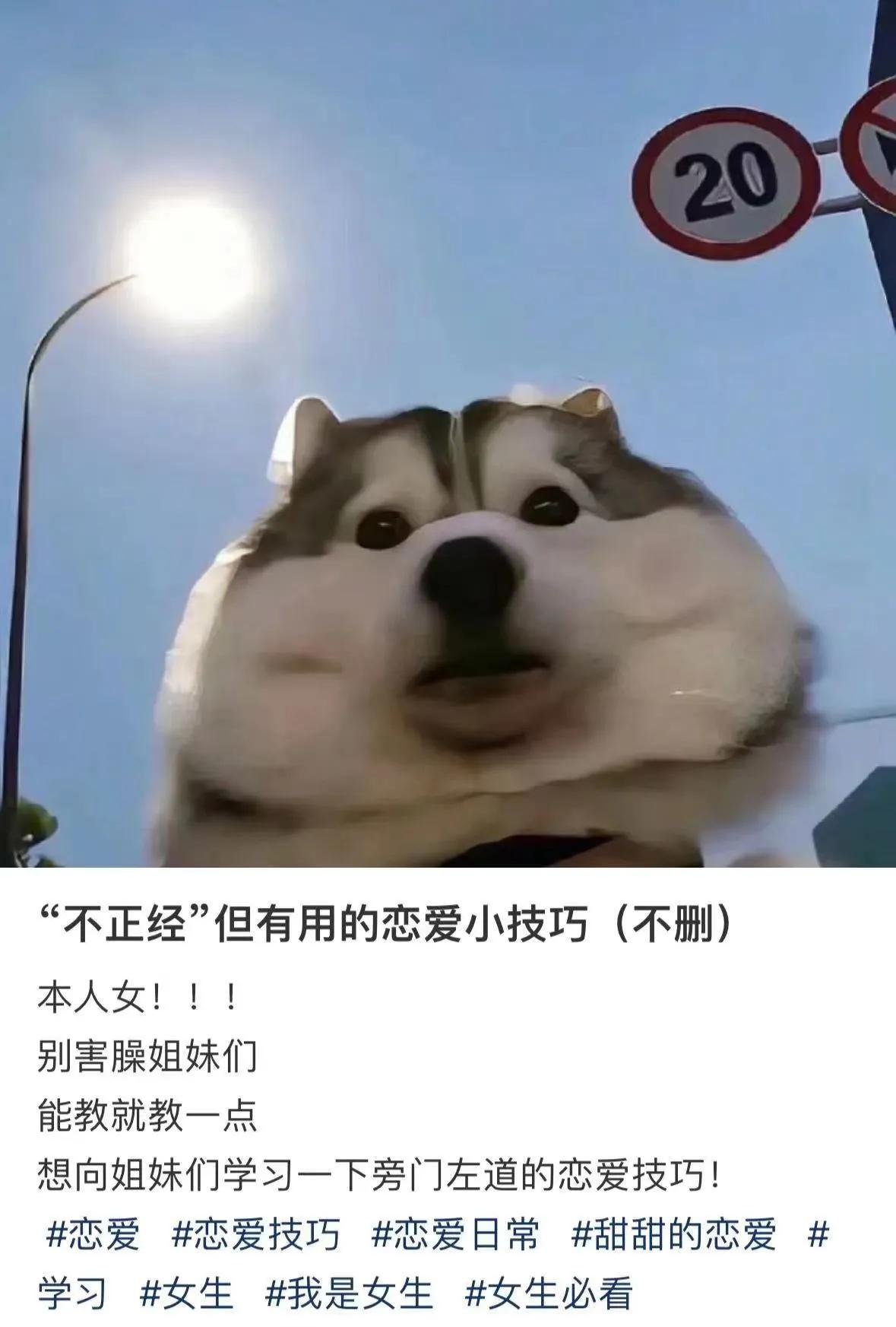 那些“不正经”但很撩人的恋爱小技巧（不删） ​​​