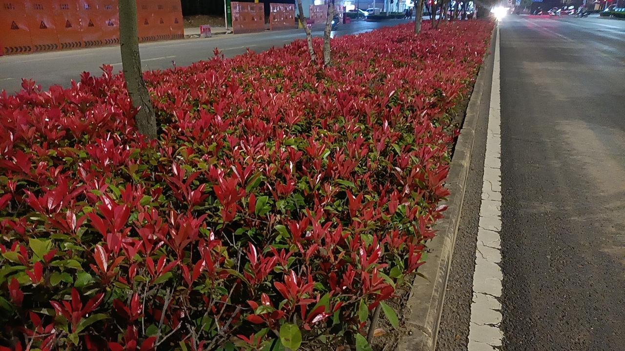 晒一晒手机里的风景照