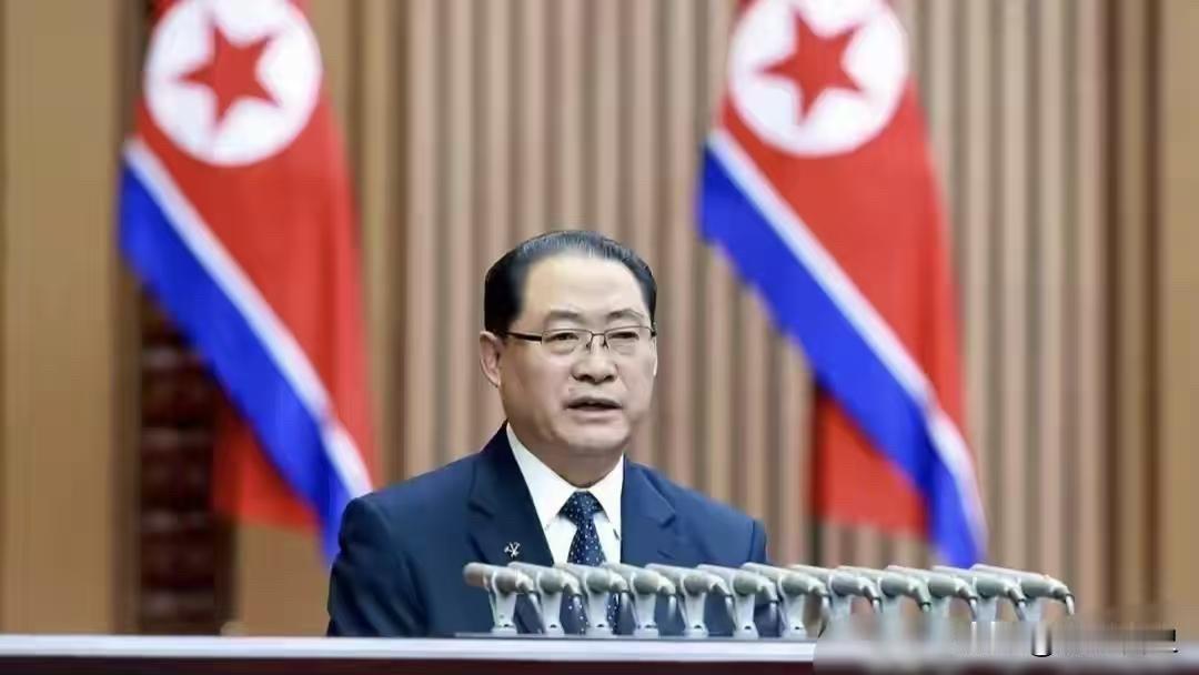 这次北京会面，外界其实盯了很久。

7月10日下午，朝鲜劳动党中央政治局常委、国