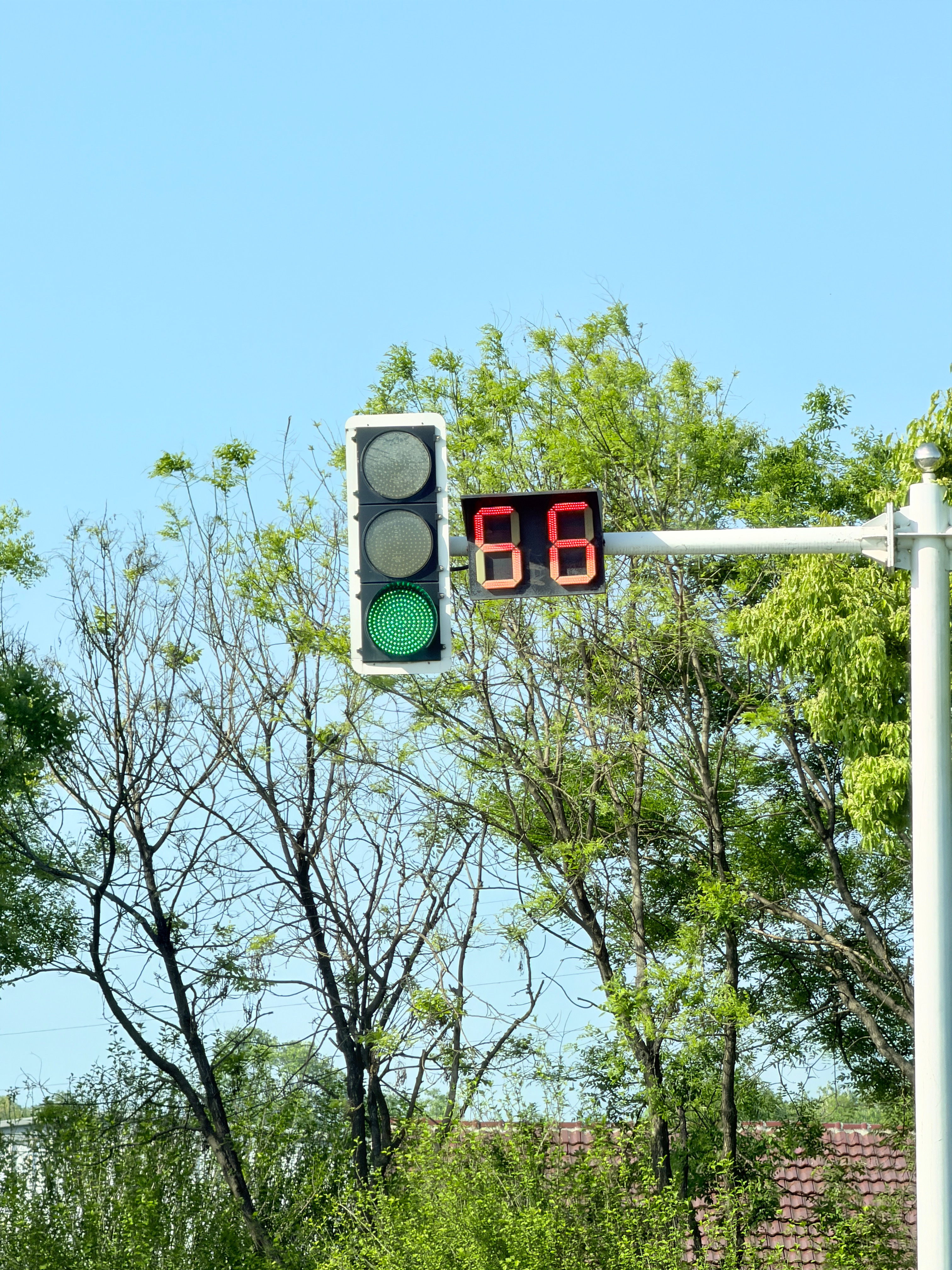 《双拼色红绿灯》遇到了一个性感的红绿灯🚥我到底要不要左转啊啊啊？ 合肥