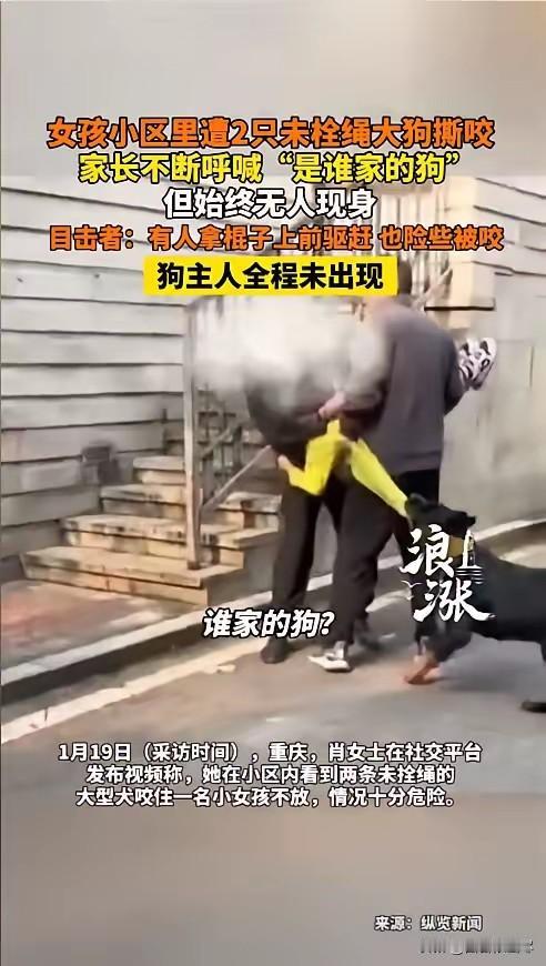 “严查到底！”近日，重庆，一小女孩在楼下玩耍时，突然被两条未拴绳的大型犬撕咬！家