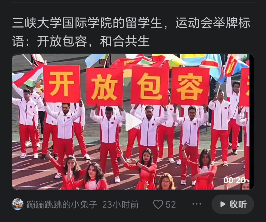 包容不是收容，不是纵容，更不是做慈善，不可变相引进大量外国移民。包不包容是我们自