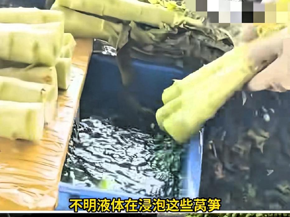 近日甘肃兰州，一记者走访了当地13个菜库，发现其中有一半菜库存在给莴笋染色的现象
