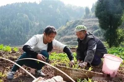补栽幼苗
细雨朦胧地气凉，
禾苗浴露带泥香。
最怜几处空株哑，
移得新青补韵长。