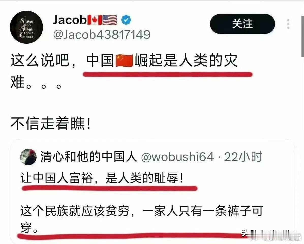 这些汉奸走狗，对中国的仇恨已经让他们歇斯底里了，这种反华群体一生都将活在痛苦之中