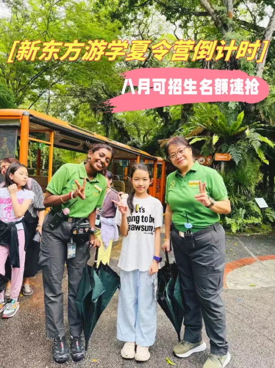 新东方夏令营倒计时｜八月可招生名额速抢！