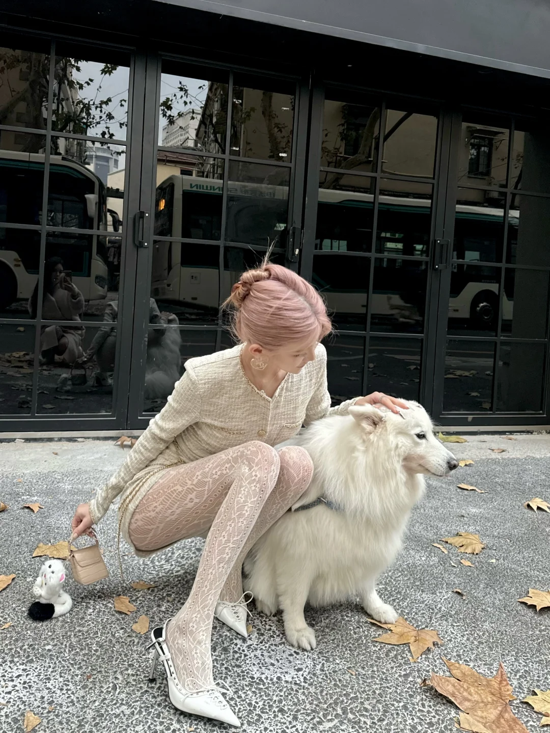 小狗乖乖🐩