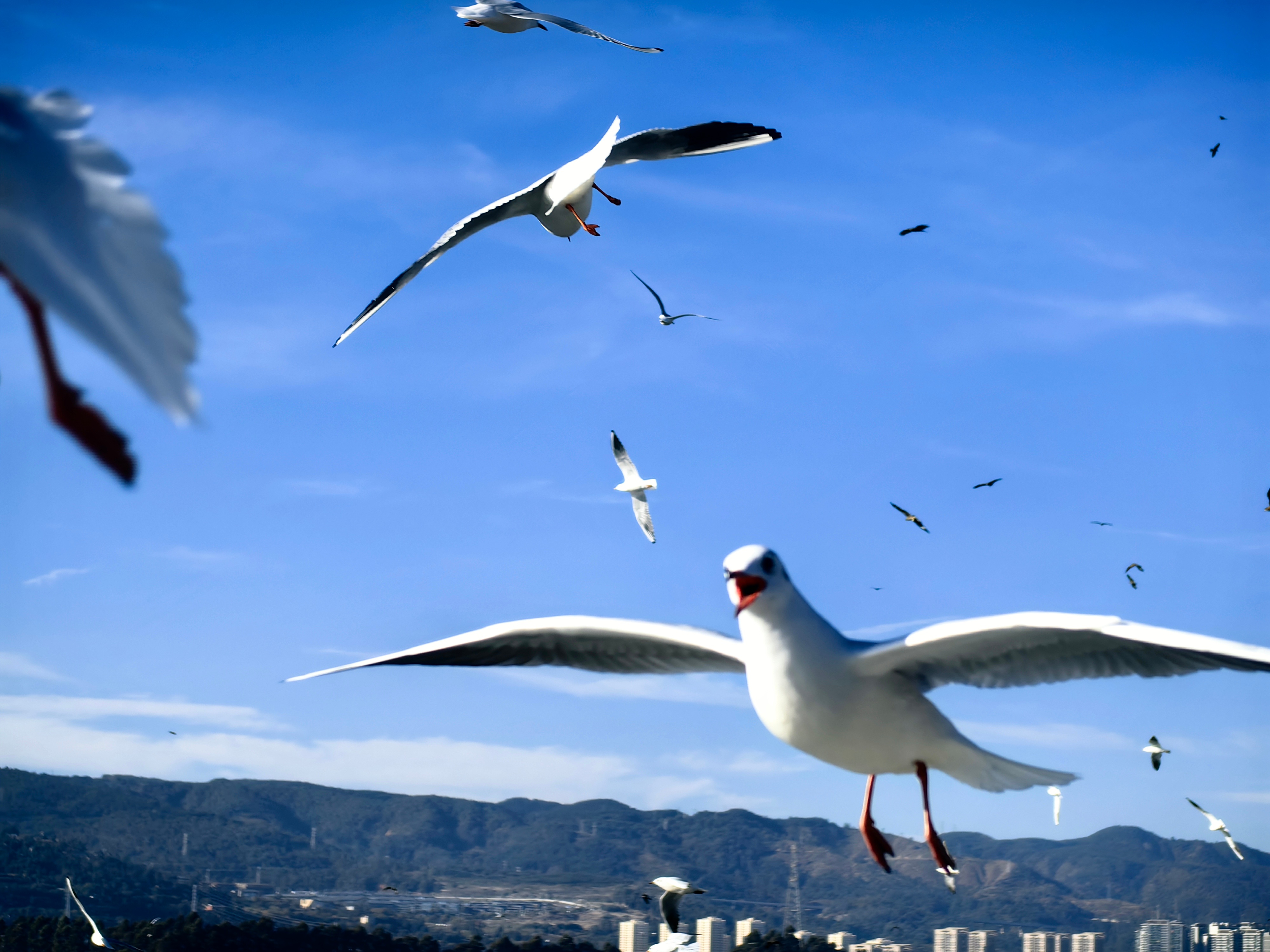 一个成熟的男人身上或包包里，永远要备有两个压缩茶叶包，和朋友吃饭时候喝茶么，干脆