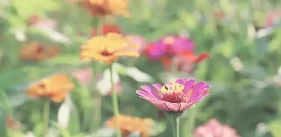 现在有个女孩突然翻出高中时候的旧照片给那张胖到没脖子的自己，她笑着说当时没人追，